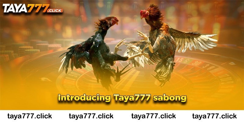 Introducing Taya777 sabong