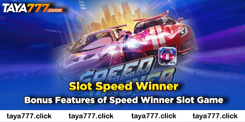 speed-winner-taya777