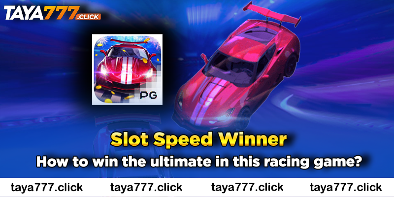 speed-winner-taya777